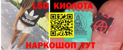 ГАЛЛЮЦИНОГЕННЫЕ ГРИБЫ Бузулук