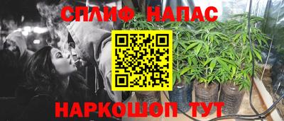 ГАЛЛЮЦИНОГЕННЫЕ ГРИБЫ Бузулук