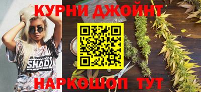 стаф Будённовск
