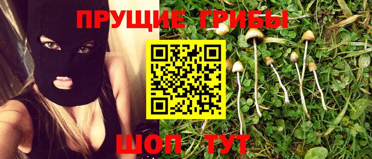 Озёрск  Галлюциногенные грибы Psilocybine cubensis  продажа наркотиков  Вход с VPN 